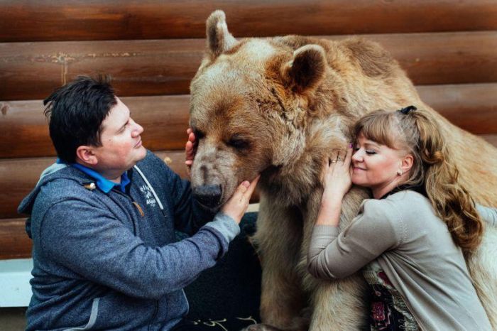 Медведь Степан, который уже 20 лет живет в семье (7 фото)