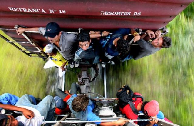 Рискованный способ передвижения мигрантов из Мексики (15 фото)
