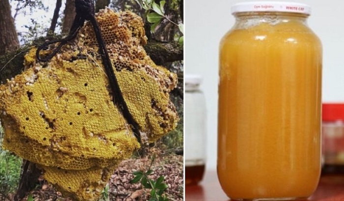 Безумный мед – лакомство с опасностями (5 фото)