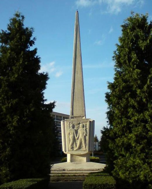 В Польше снесли памятник Благодарности и Братства Армии (10 фото)