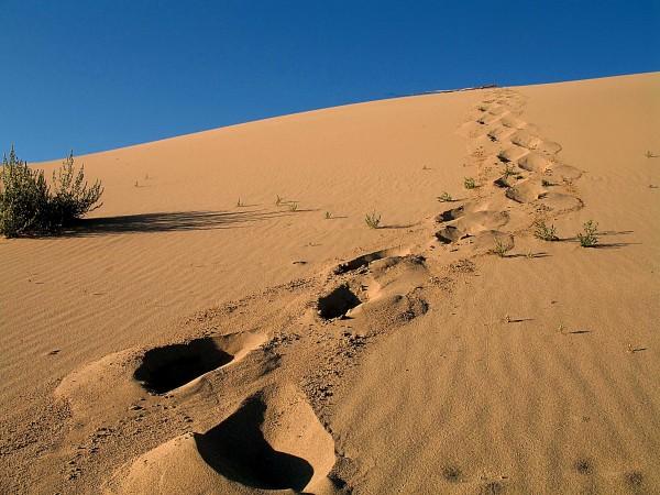 Пустыни, которые не пустыни (21 фото)