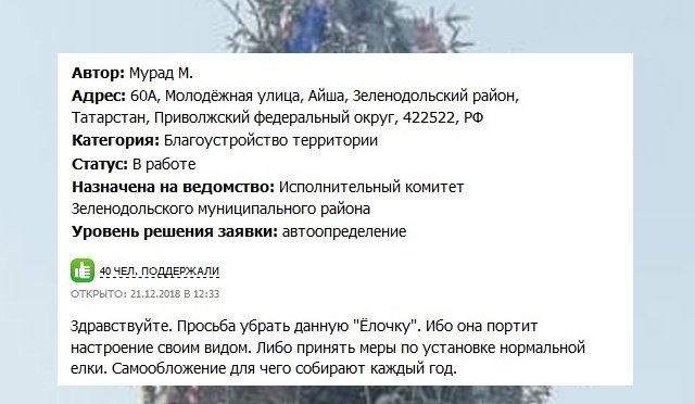 Жители поселка в Татарстане потребовали убрать елку (2 фото)