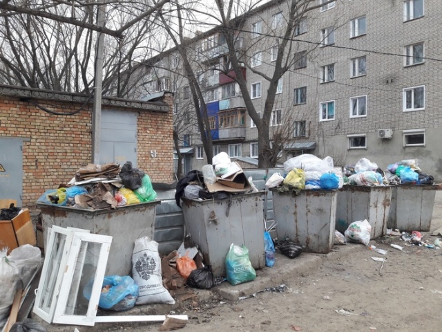 Реакция городских властей на свалку мусора во дворе (5 фото)