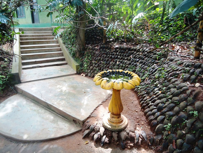 Сад специй в Шри-Ланке (32 фото)
