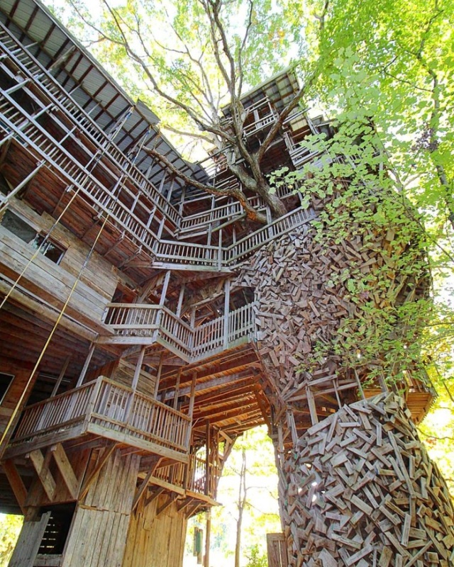Необычный дом на дереве, который построил священник (11 фото)