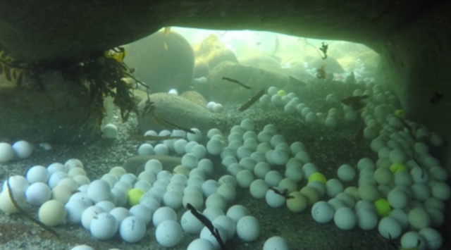 Фридайверы достали из океана несколько тонн мячиков с гольфа (5 фото)