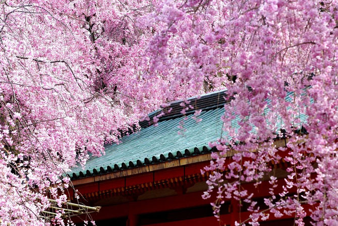 Японские сады храма Хэйан-джингу (20 фото)