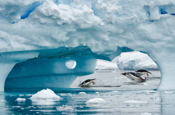 Невероятная Антарктика от Кайла Анстея (11 фото)