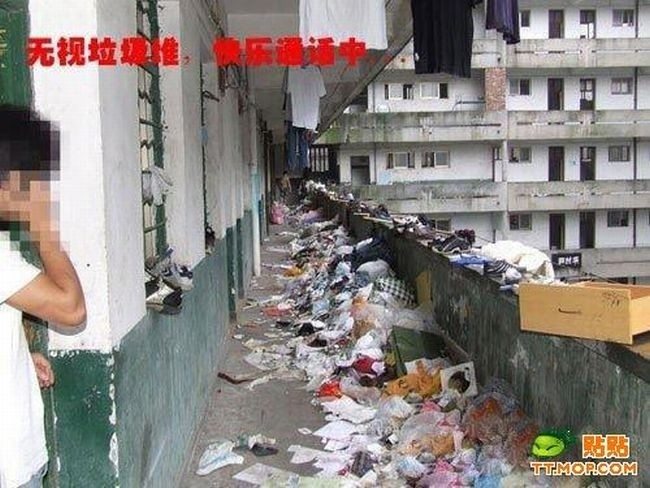 Самое грязное общежитие (5 фото)