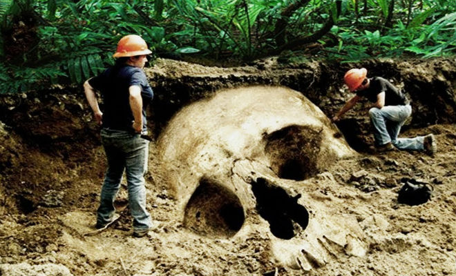  Удивительные открытия, раскопанные в земле (2 фото)