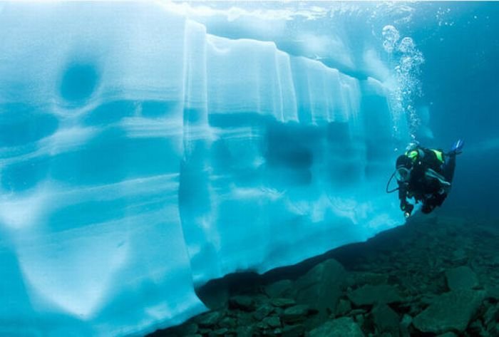 Дайвинг под ледяными глыбами (15 фото) 