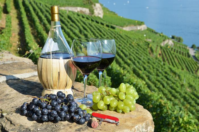 Подборка интересных фактов о виноделие в Италии (5 фото)