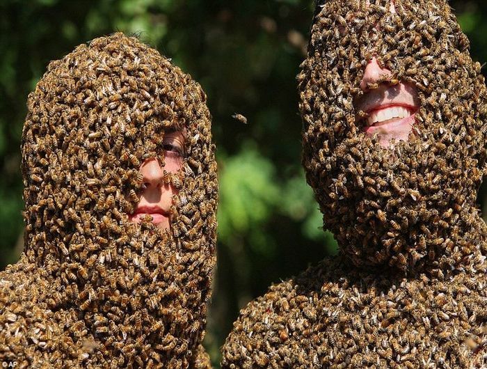 Канадские фермеры провели конкурс пчелиной бороды (5 фото)