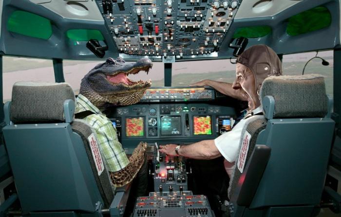 Крокодил стал причиной авиакатастрофы в Конго (5 фото)