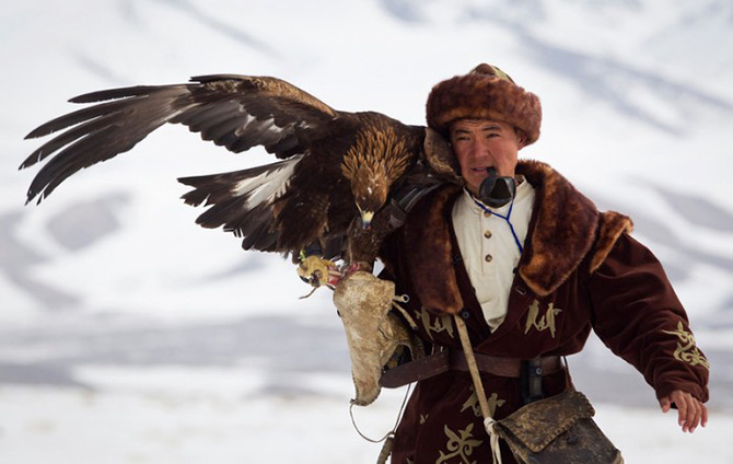 Охота с соколом в Казахстане (16 фото)