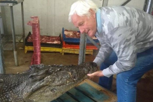 Странная находка в желудке крокодила (3 фото)