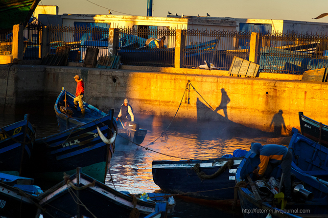 Золотое утро в порту Эссуэйры в Марокко (48 фото)