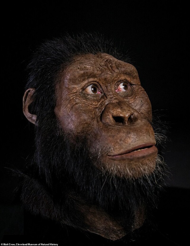 Ученым удалось воссоздать портрет предка человека (8 фото)