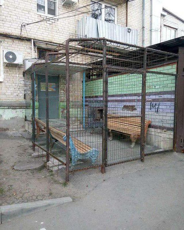 На Ставрополье нашли подъезд "строгого режима"( фото)