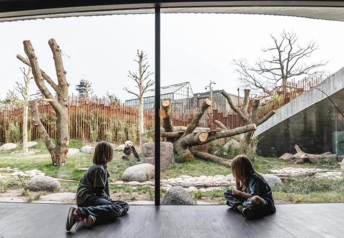 «Дом» для панд в Копенгагенском зоопарке (13 фото)