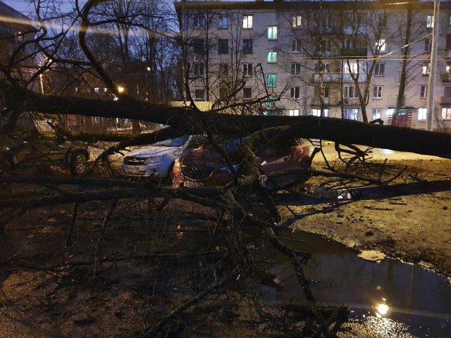 Последствия штормового ветра в Петербурге (9 фото) 