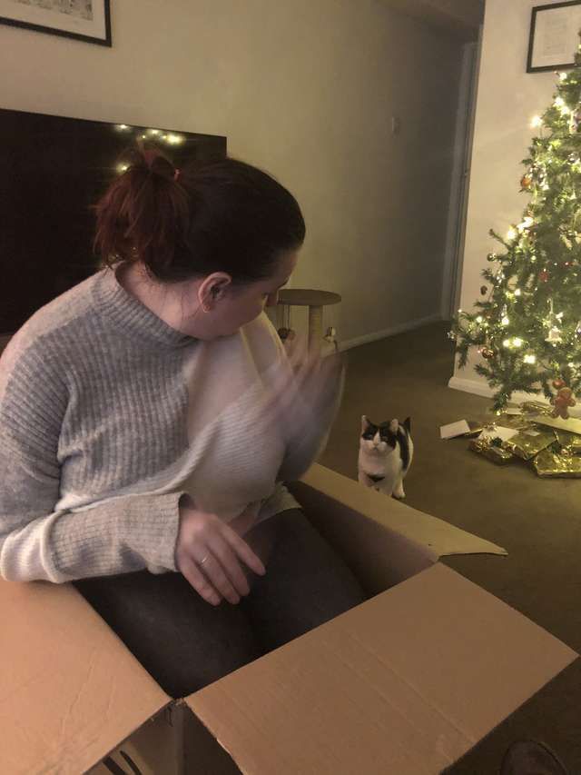 Эксперимент: как отреагирует кот, если залезть в его коробку (4 фото)
