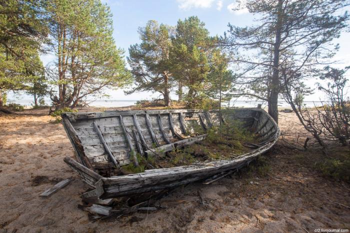 «Кладбище карбасов» на берегу Белого моря (15 фото)