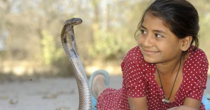 Индийская девочка, которая ладит со змеями (6 фото)