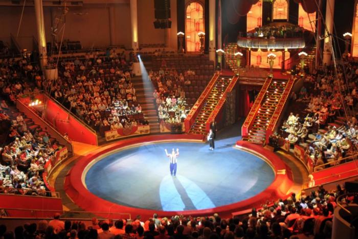 Шоу "Фантастика" в Цирке Никулина (3 фото)