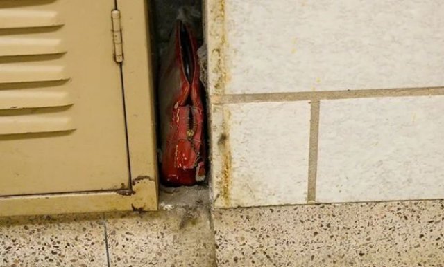 Школьники в США нашли «капсулу времени» - сумку школьницы (15 фото)