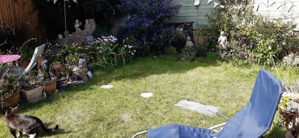 Британка Аманда Джонстон нашла клад XV века в своем саду (5 фото)
