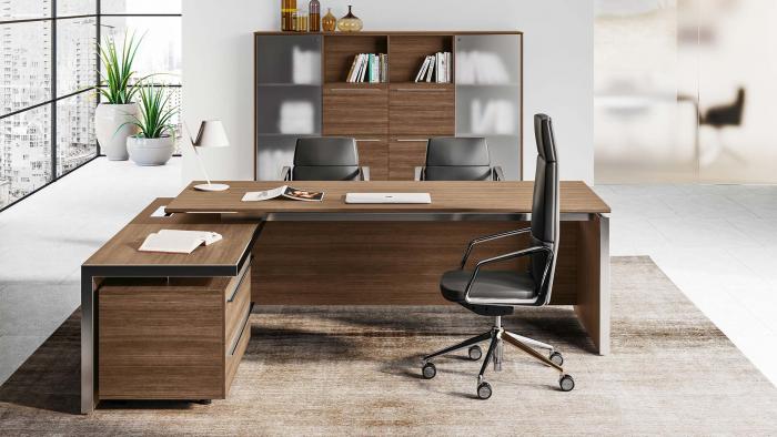 Правильный выбор элитной мебели для рабочего кабинета (4 фото)