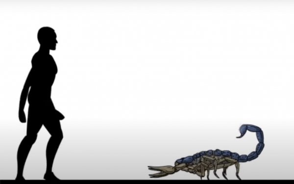 Впечатляющие сравнения вымерших животных с человеком (20 фото)