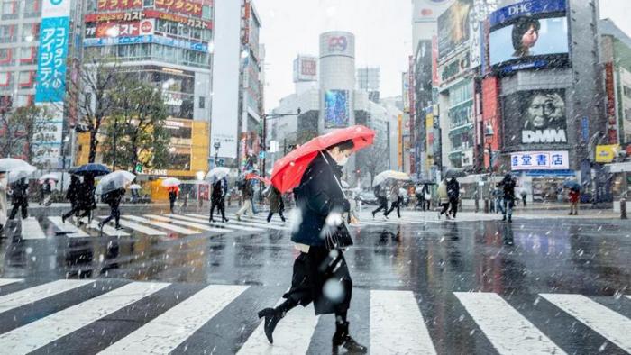 75 фактов о Японии (7 фото)