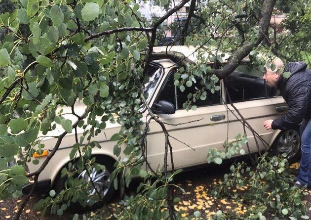В Петербурге шквальный ветер повалил деревья и снес обшивку (10 фото)