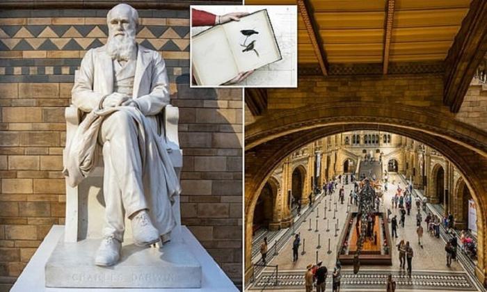 Дарвина уволят из Музея естественной истории (6 фото)