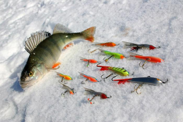 Результативная зимняя рыбалка для новичков: полезные советы (3 фото)