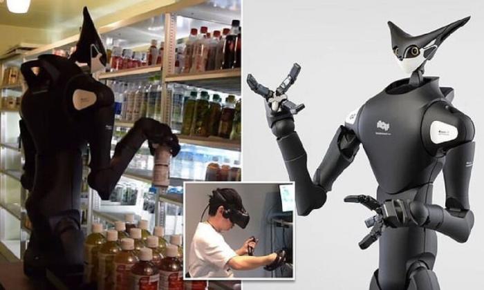 В японских супермаркетах появятся двухметровые роботы-грузчики(4 фото)