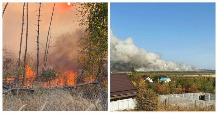 Воронежская область в огне: огонь добрался до жилых домов (3 фото)