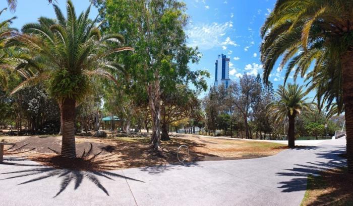 Парк с павлинами на Золотом Побережье Австралии (10 фото) 
