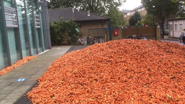В Лондоне неизвестный человек вывалил 32 тонны моркови (8 фото)