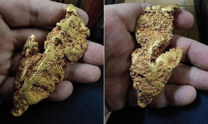 Золотоискатель нашел самородок стоимостью 30 000 долларов (5 фото)