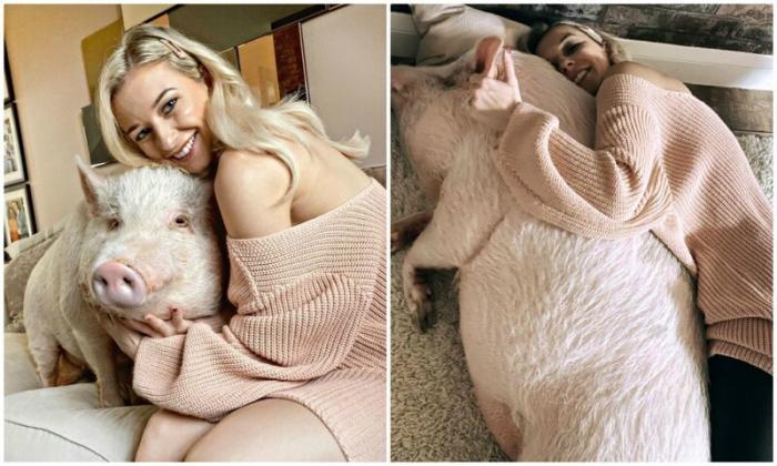 Блогерша держит дома 80-килограммовую свинку (5 фото)