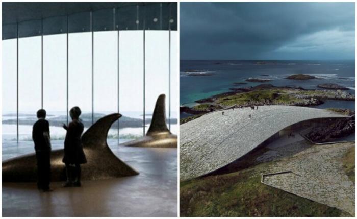В Норвегии откроют музей для наблюдения за китами (9 фото) 