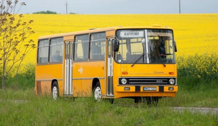Посмотрите на красивые фото автобусов Икарус разных лет (23 фото)