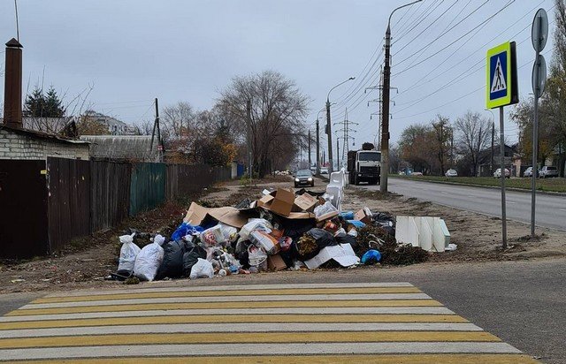 "Куча-могуча" стихийная мусорка в Воронеже привлекла внимание (8 фото)
