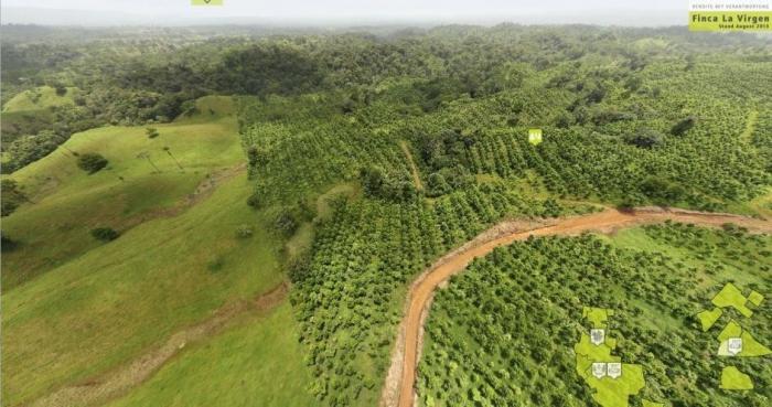 Коста-Рика — планетный лидер по восстановлению лесов (6 фото)  