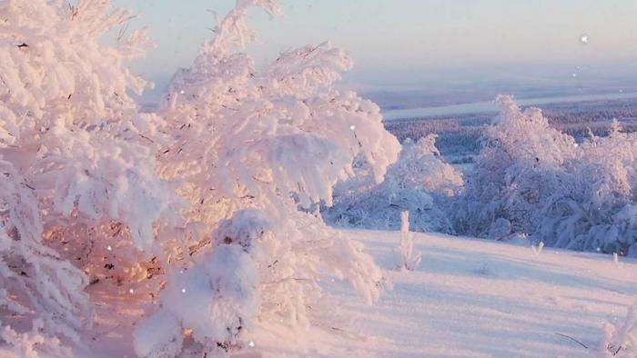Снежная сказка в Линдуловской роще (3 фото)