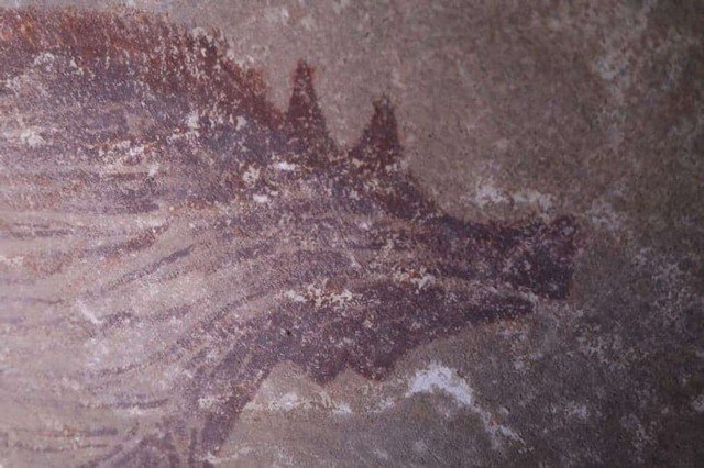 Древнейшие наскальные рисунки свиней обнаружены в Индонезии (3 фото)
