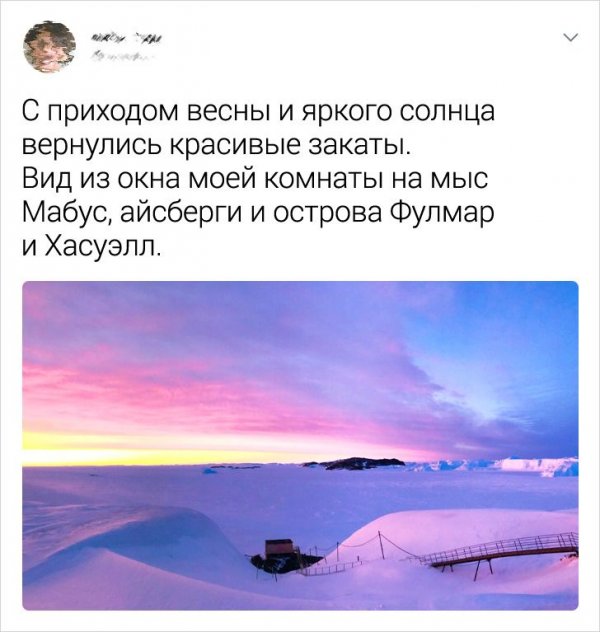 Новые твиты от мужчины, который провел целое в Антарктиде (12 фото)